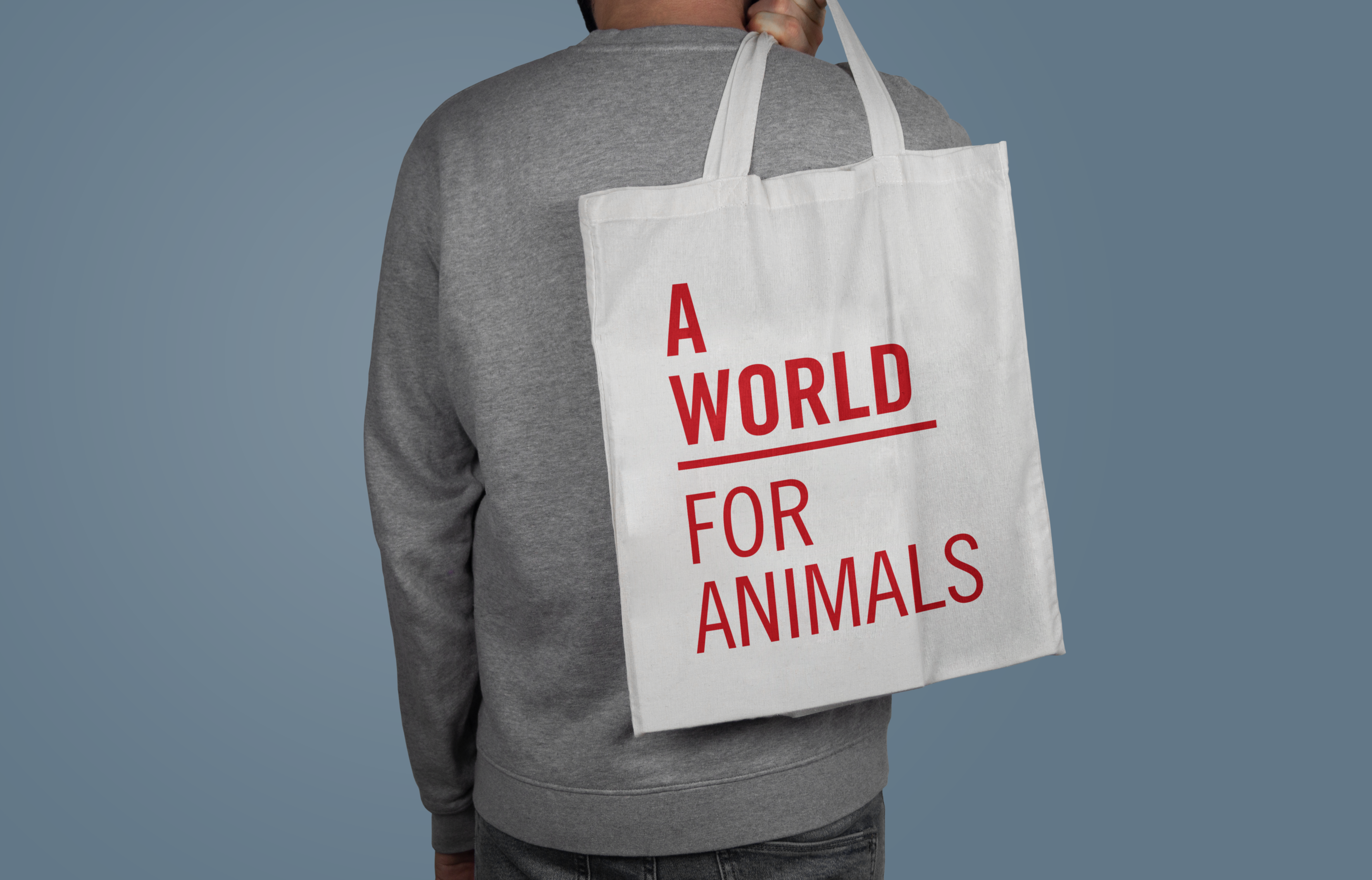animal_awareness_branding54
