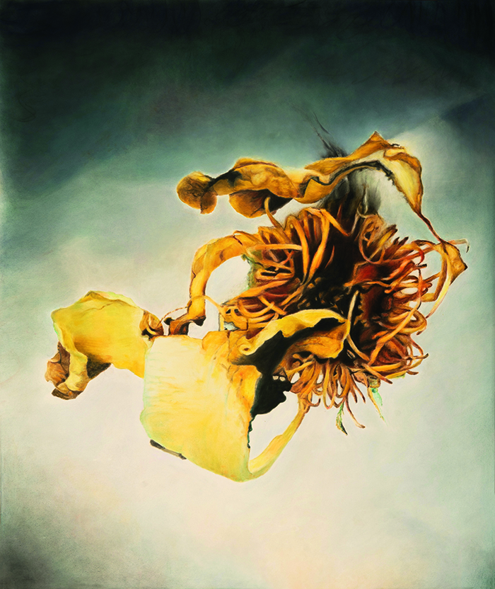 DesignstudioEisenkoeck_AEisenkoeck_24